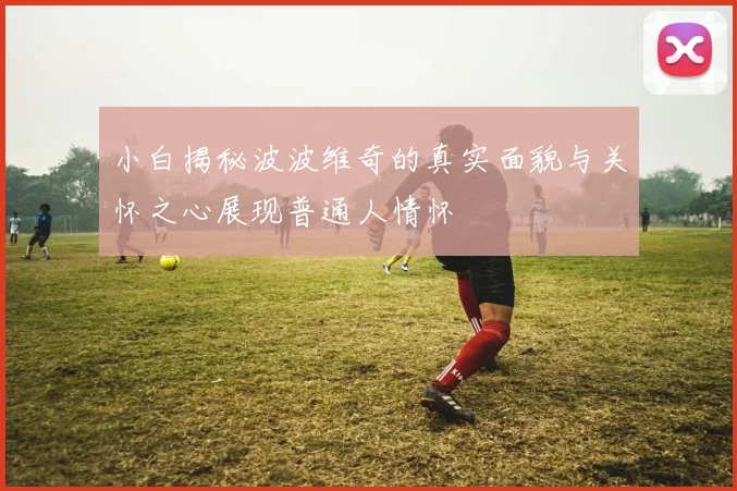 小白揭秘波波维奇的真实面貌与关怀之心展现普通人情怀
